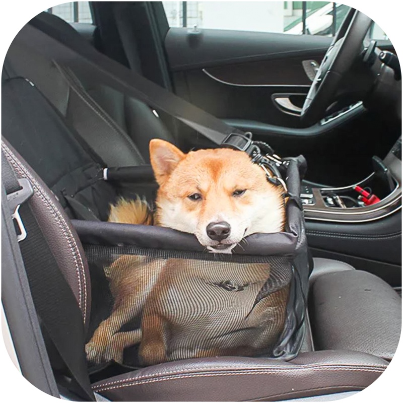 Cama de coche para perros Furrever Friends