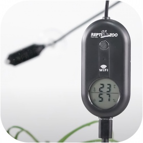 Repti-Zoo Wi-Fi Thermo-Hygrometer für Terrarien