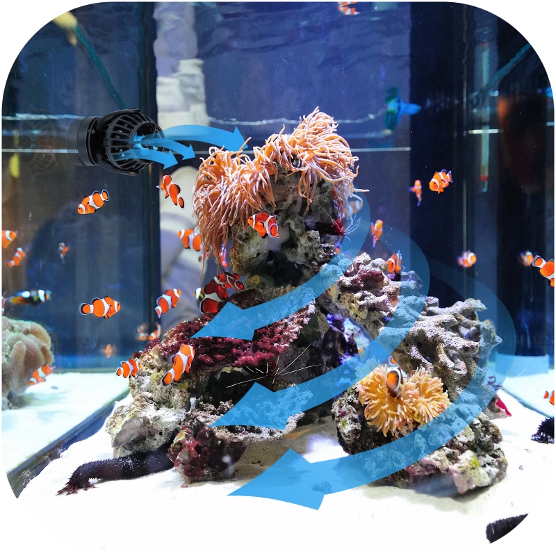 Pompe Jecod EOW-9 pour aquariums marins