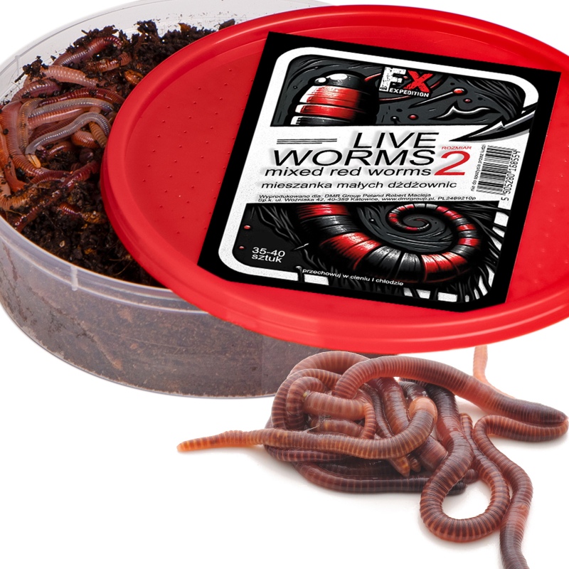 Fishing Expedition Live Worms Size 2