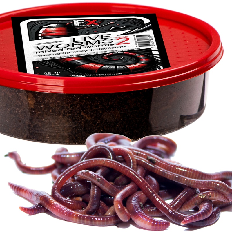 Fishing Expedition Live Worms Size 2