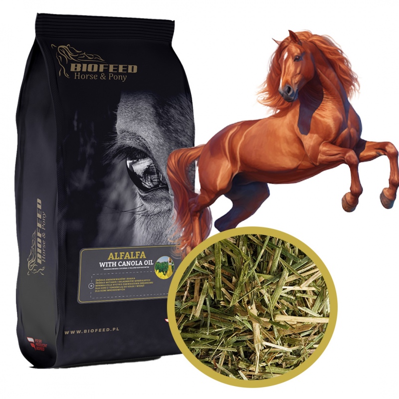 Biofeed Horse&Pony Alfalfa with Canola Oil - lucerna z olejem rzepakowym dla koni 10kg