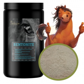 Biofeed Horse&Pony Bentonite - bentonit dla koni 900g