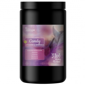 Biofeed Horse&Pony Candy Vitamins&Minerals - witaminy i aminokwasy dla koni 900g