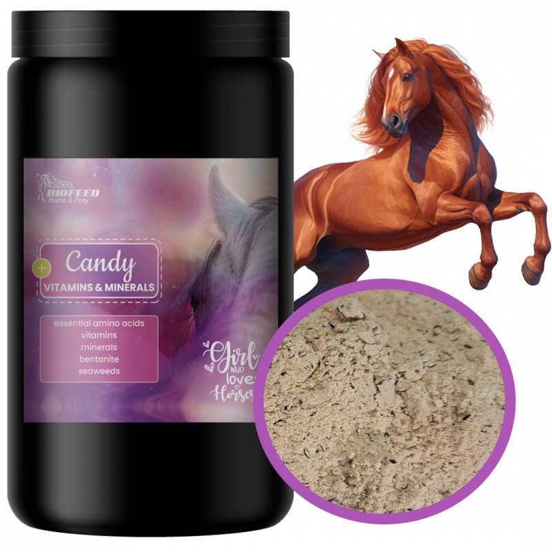 Biofeed Horse&Pony Candy Vitamins&Minerals - witaminy i aminokwasy dla koni 900g