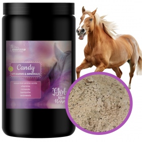 Biofeed Horse&Pony Candy Vitamins&Minerals - witaminy i aminokwasy dla koni 900g