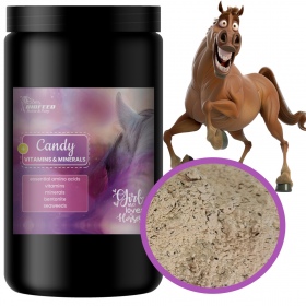 Biofeed Horse&Pony Candy Vitamins&Minerals - witaminy i aminokwasy dla koni 900g