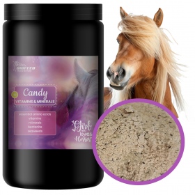 Biofeed Horse&Pony Candy Vitamins&Minerals - witaminy i aminokwasy dla koni 900g