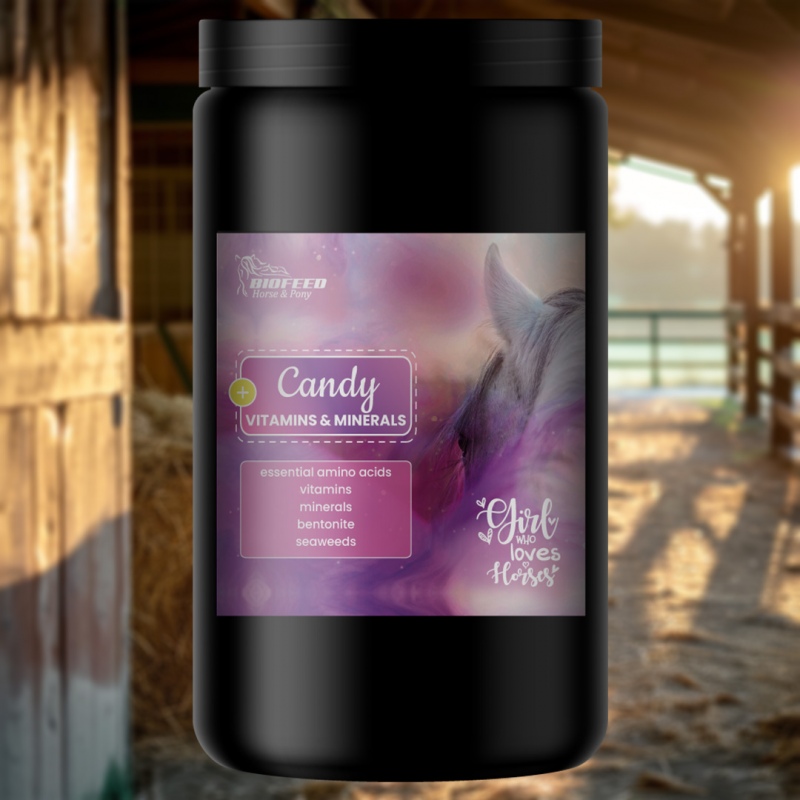 Biofeed Horse&Pony Candy Vitamins&Minerals - witaminy i aminokwasy dla koni 900g