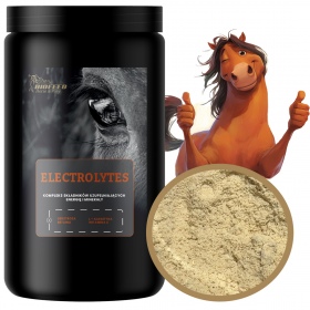 Biofeed Horse&Pony Electrolytes - elektrolity dla konia 900g