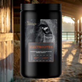 Biofeed Horse&Pony Electrolytes - elektrolity dla konia 900g