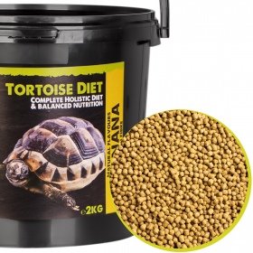 Komodo-Schildkröten-Diät Banane 2kg - Futter für Schildkröten