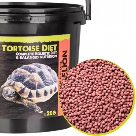 Komodo Schildkröten Diät 2kg