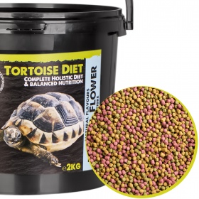 Dieta de la Tortuga de Komodo 2kg