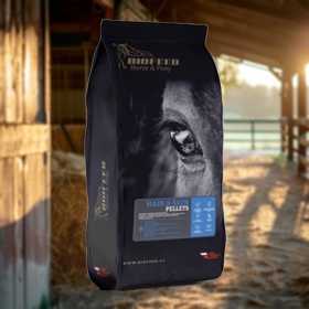 Biofeed Horse&Pony Hair&Skin Pellets - granulat dla koni z problemami skórnymi 25kg