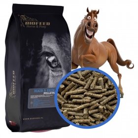 Biofeed Horse&Pony Hair&Skin Pellets - granulat dla koni z problemami skórnymi 25kg