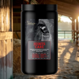 Biofeed Horse&Pony Joints Care granulaat