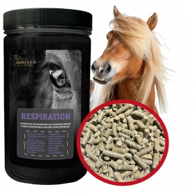 Biofeed Horse&Pony Respiration 900g