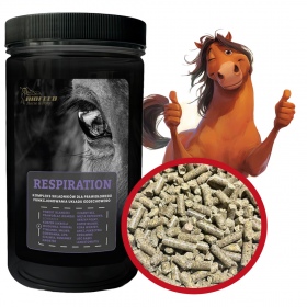 Biofeed Horse&Pony Respiration - 900g