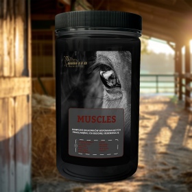 Biofeed Horse&Pony Muscles - granulat dla konia na mięśnie 1000g