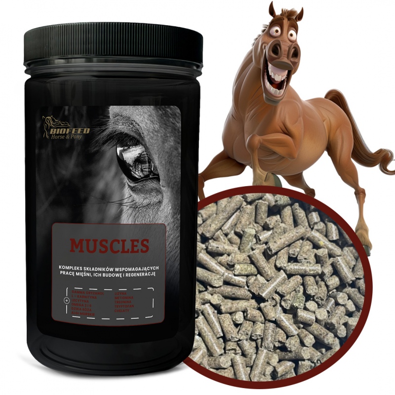 Biofeed Horse&Pony Muscles - granulat dla konia na mięśnie 1000g