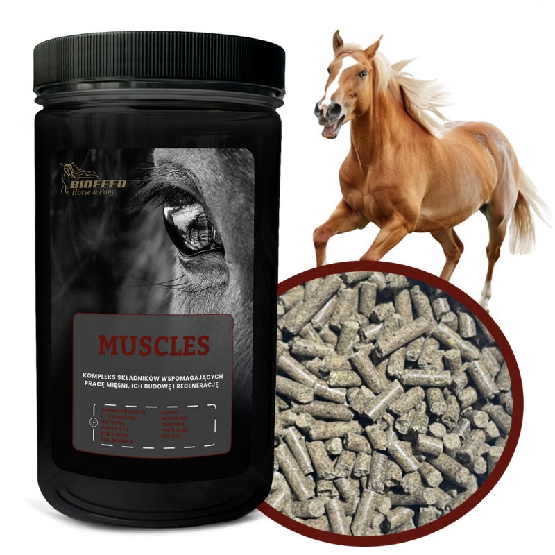 Biofeed Horse&Pony Muscles - granulat dla konia na mięśnie 1000g