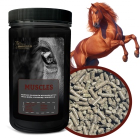 Biofeed Horse&Pony Muscles - granulat dla konia na mięśnie 1000g