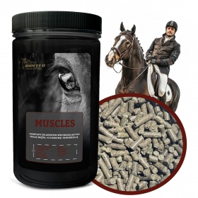 Biofeed Horse&Pony Muscles - granulat dla konia na mięśnie 1000g