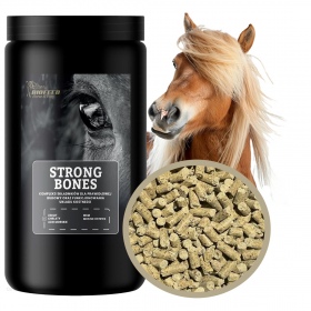 Biofeed Horse&Pony Strong Bones - witaminy dla koni na mocne kości 900g