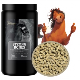 Biofeed Horse&Pony Strong Bones - witaminy dla koni na mocne kości 900g