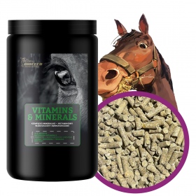 Biofeed Horse&Pony Vitamins&Minerals - witaminy i minerały dla konia 1000g