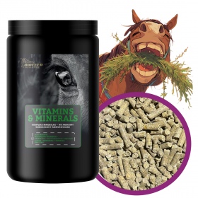 Biofeed Horse&Pony Vitamins&Minerals - witaminy i minerały dla konia 1000g