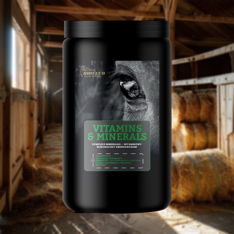 Biofeed Horse&Pony Vitamins&Minerals - witaminy i minerały dla konia 1000g