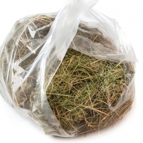 Terrario Alpine Aroma Hay for Rabbits