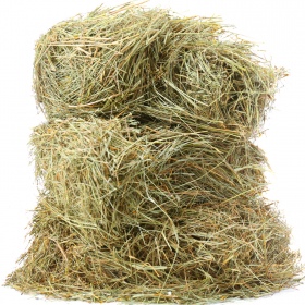 Terrario Alpine Aroma Hay for Rabbits