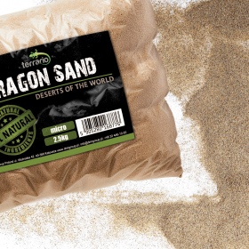 Terrario Dragon Sand 2.5kg