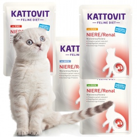 Kattovit Renal 12x85g - karma wspierająca zdrowie nerek kotów.