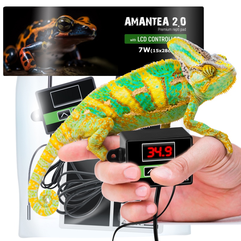 Terrario Amantea 2.0 heating mat with thermostat