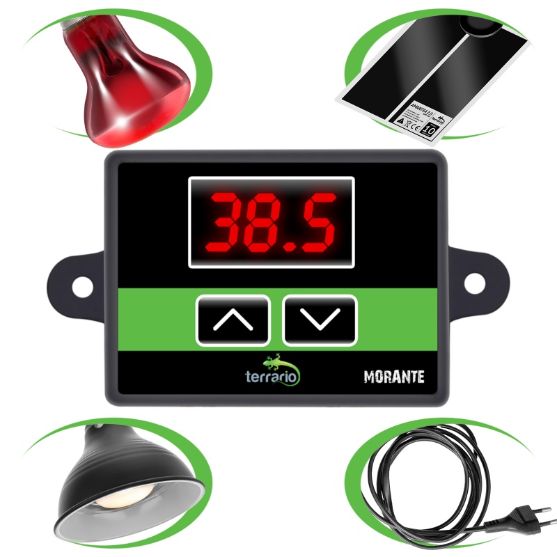 Terrariumtermostat med temperatursensor