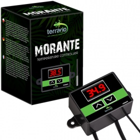 Terrariumtermostat med temperatursensor