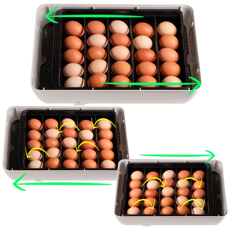 Janoel 24S - inkubator z termostatem i automatycznym obracaniem jaj