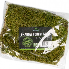 Terrario Shadow Forest Moss - mech naturalny 35x28cm