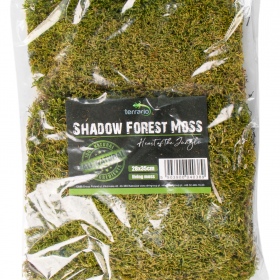 Terrario Shadow Forest Moss - mech naturalny 35x28cm