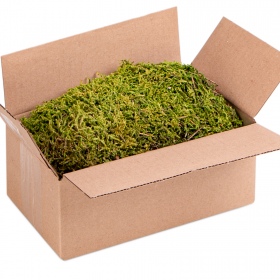 Terrario Pohjois-King Moss Box 1.5l