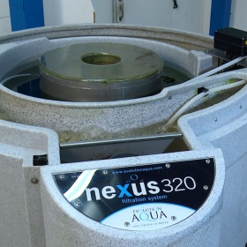 Filtr Evolution Aqua Nexus 320