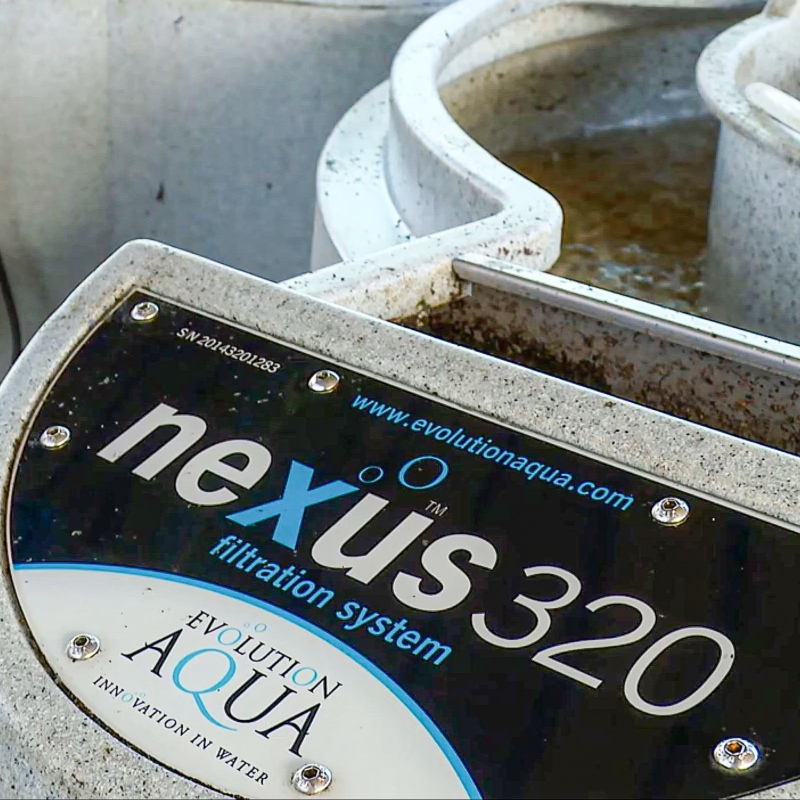 Evolution Aqua Nexus 320 International - filtr do oczka wodnego 68,000l