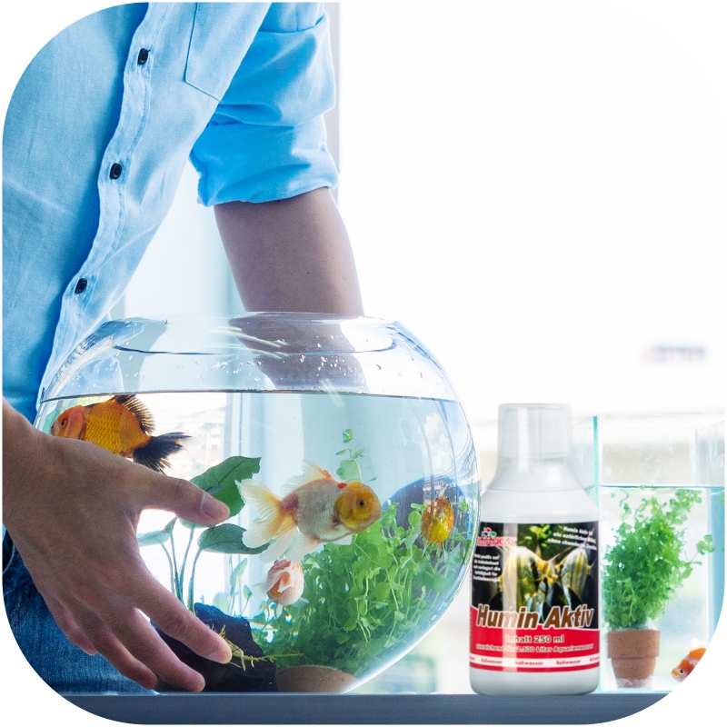 Humin Aktiv for Aquarium Fish