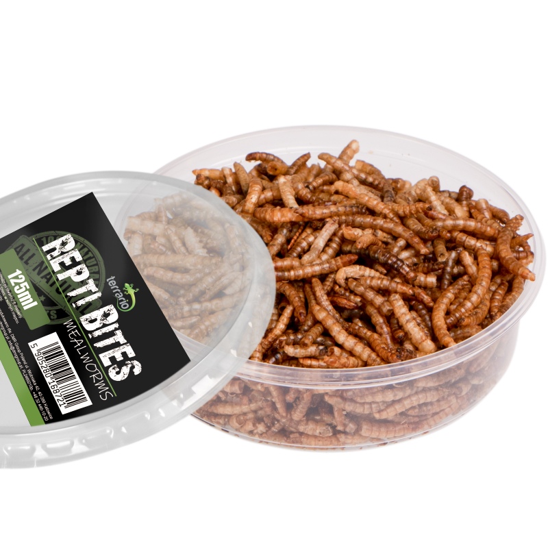 Terrario Repti Bites Mealworms 125ml