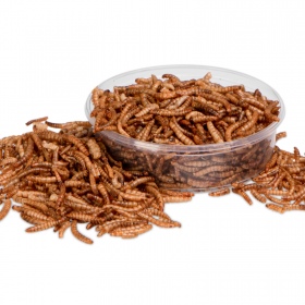 Terrario Repti Bites Mealworms 125ml - larwy mącznika suszone