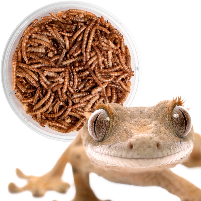 Terrario Repti Bites Mealworms 125ml - larwy mącznika suszone